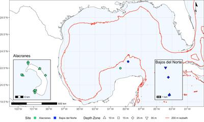 Depth-Dependent Genetic Structuring of a Depth-Generalist Coral and Its Symbiodiniaceae Algal Communities at Campeche Bank, Mexico